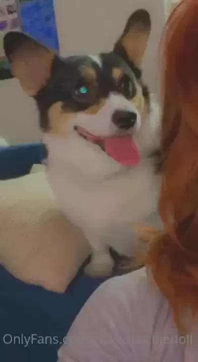 How tonight is going so far 