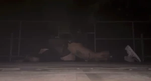 Fun little clip