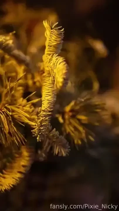 I continue to give you pleasant moments i just like it blonde petite 