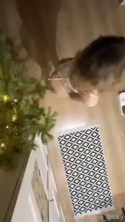 I love making these cute little videos for you daddy do you like them 