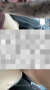 Preview for missionary in front seat