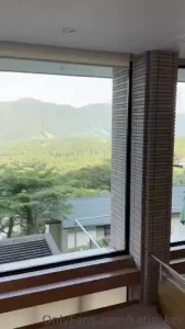Mt fuji from my window