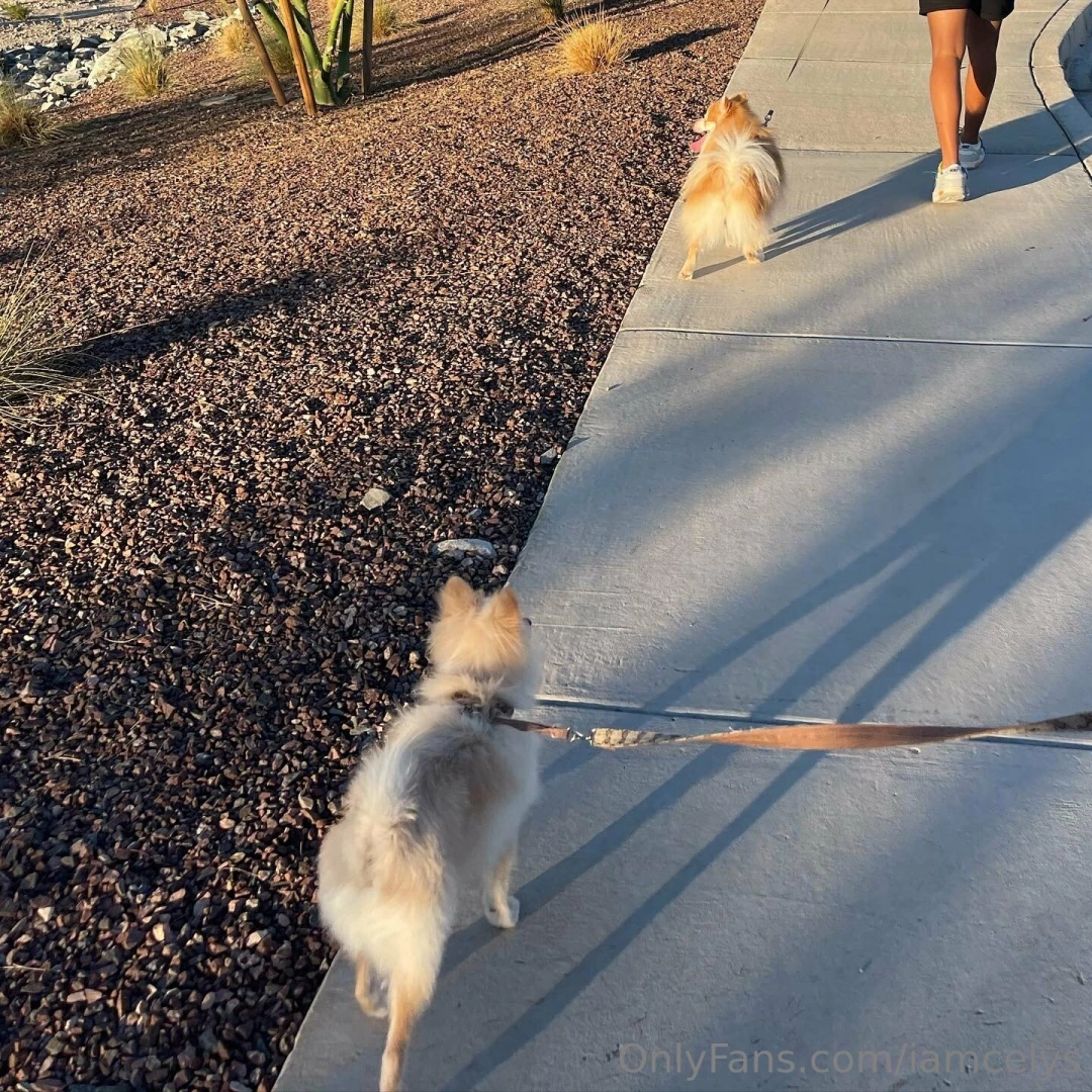 Lowkeycelys1 part 36 