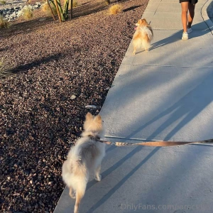 Lowkeycelys1 part 36