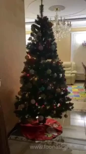 Time for family dinner merry christmas