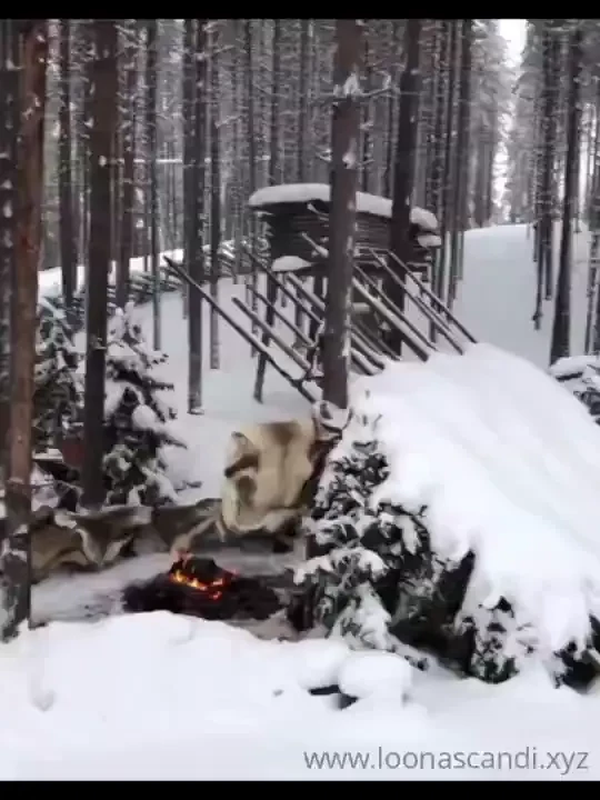 Little bit of finland for all of you isn t it charming 