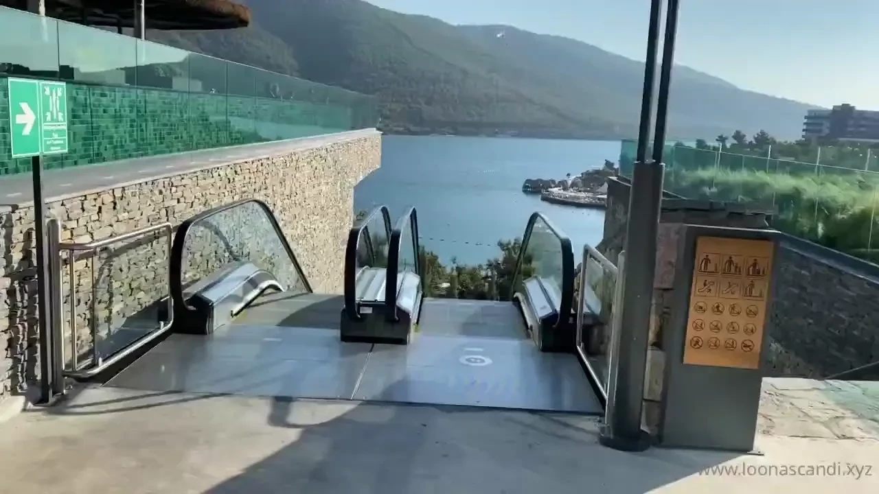 Sharing some amazing views with you 