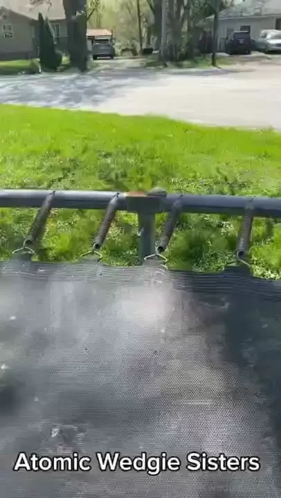 Showing my frog friend what a wedgie is the atomic wedgie sisters love 