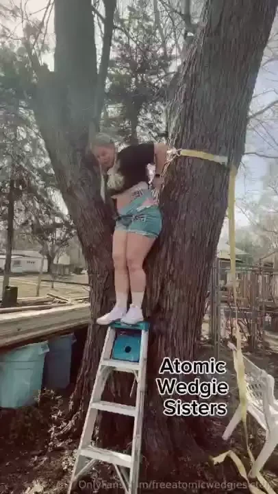 Gracie ends up hanging in a wedgie for longer than expected but that s 