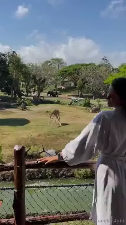 Check out this beautiful zoo 