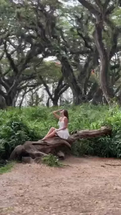 I just fell into a forest fairy tale and what places make you excited 