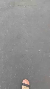 Perks of being a subscriber here - you get to come along with me as i part 4