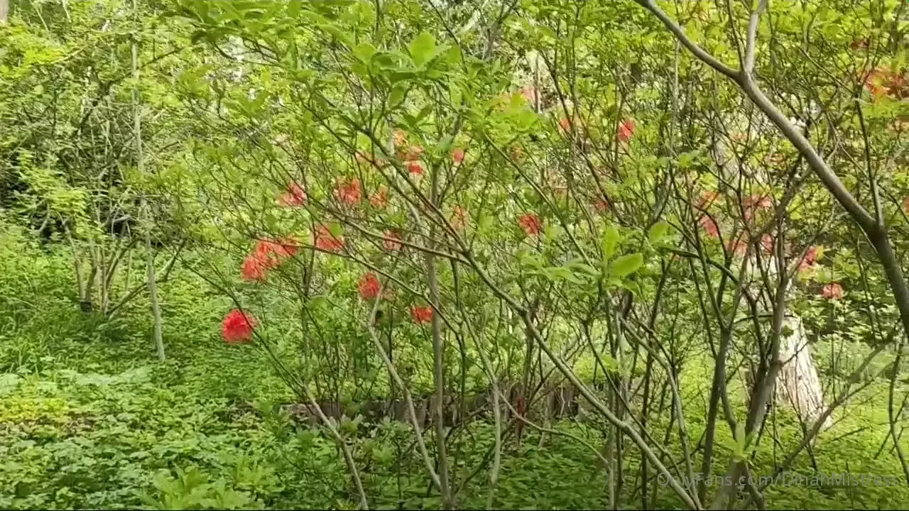 Today i spend a beautiful relaxing time in the botanical gardens in 