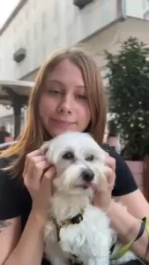 You love dogs