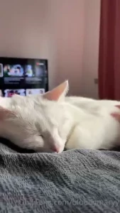 Mmmrrr mmmrrr i love her