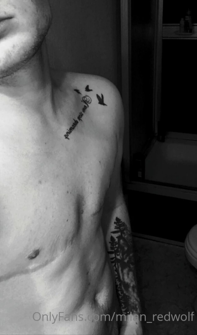 Milan-redwolf part 13 