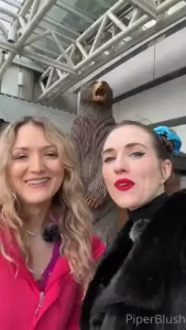 Bear with paulilafay piperblush paulilafay vancouver downtown tourist