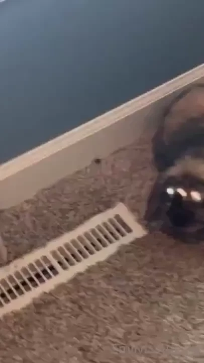 Here is the daisy btw temp_rising 