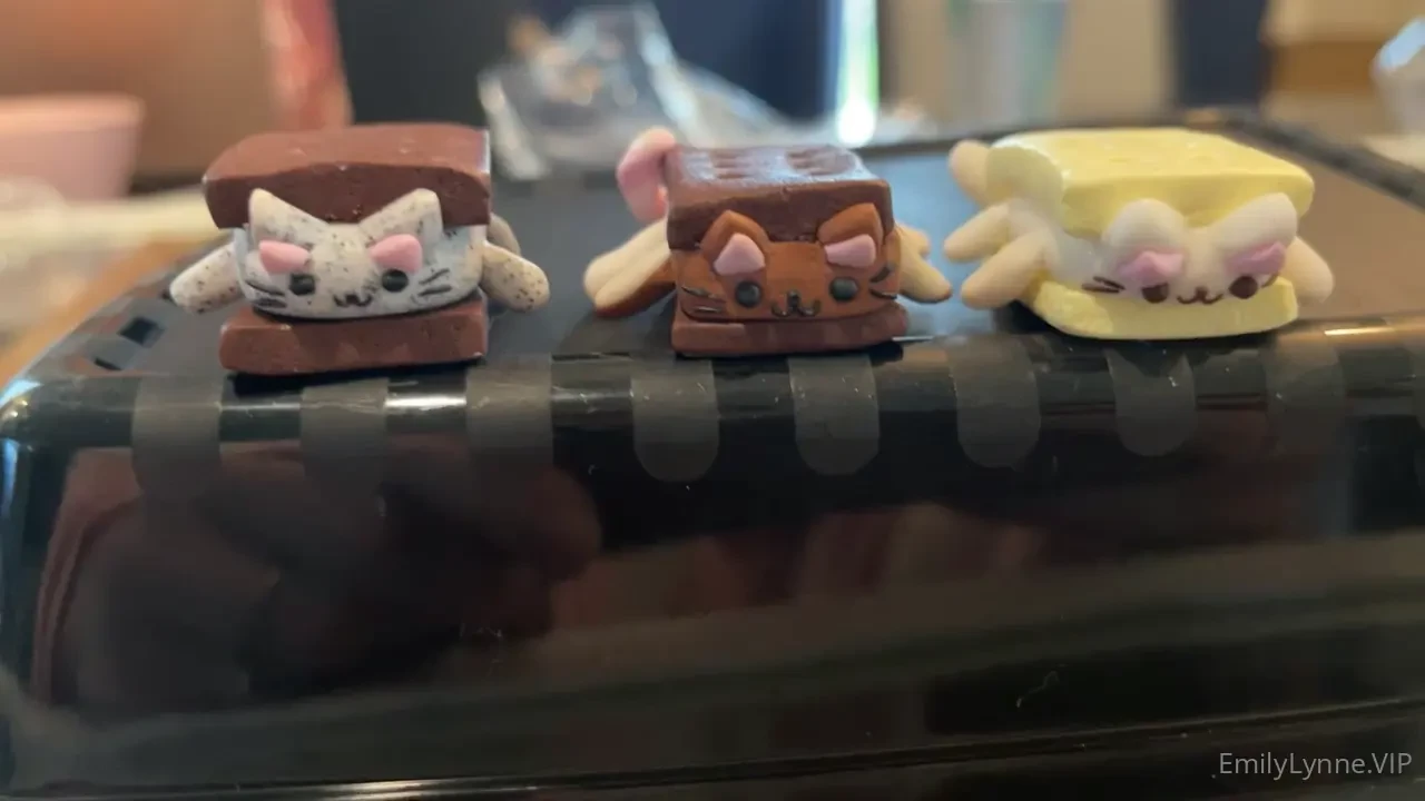 Ice cream sammie kitty would you buy one 