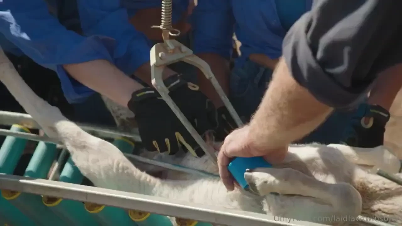 New episode out now bec is back watch here https of tv creators 