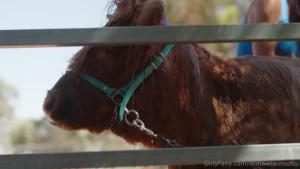 The new episode of modelfarmers is out now on oftv