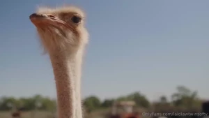 Model farmers season 2 trailer is here i don t think you guys are