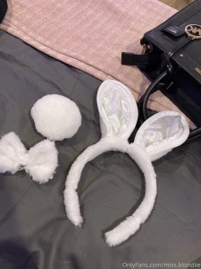 Like if you want to see the bunny coming soon in your feed