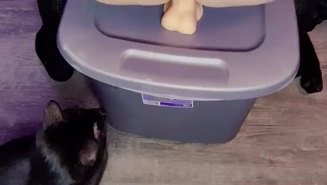 I decided to masturbate today as a birthday present to myself and film 