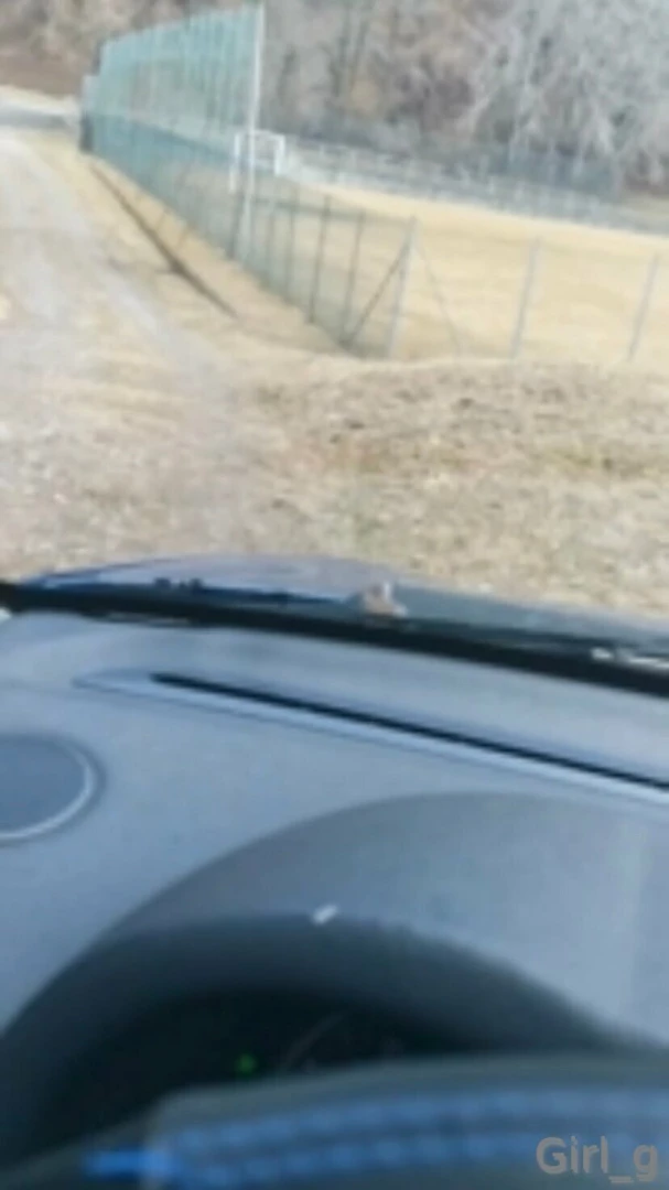 Outdoor sono in macchina e mi viene voglia 13 minuti di masturbazione 