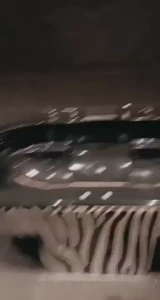 Play with me part 269