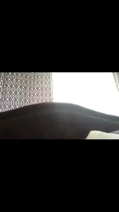 Stream started at 11 05 2019 04 27 pm