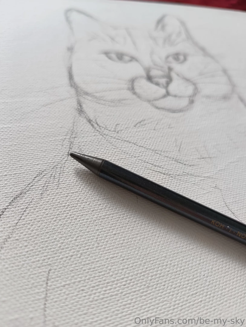Kitty work in progress 