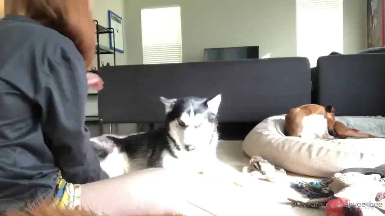 Just a cute morning video for you all i hope you enjoy have a 