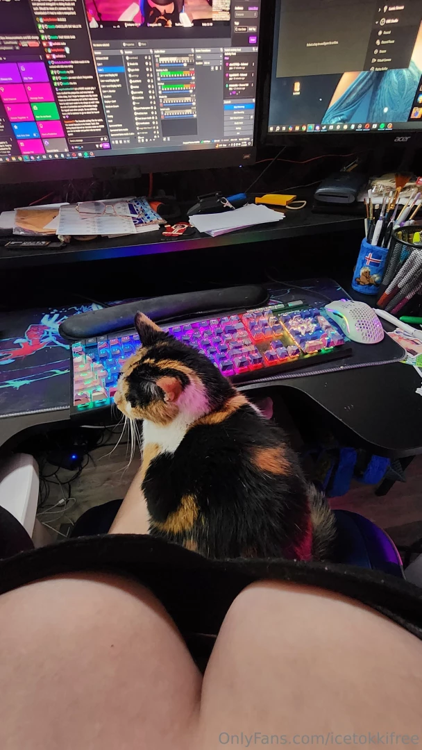 Check out my kitty video up on my vip if you like this view 