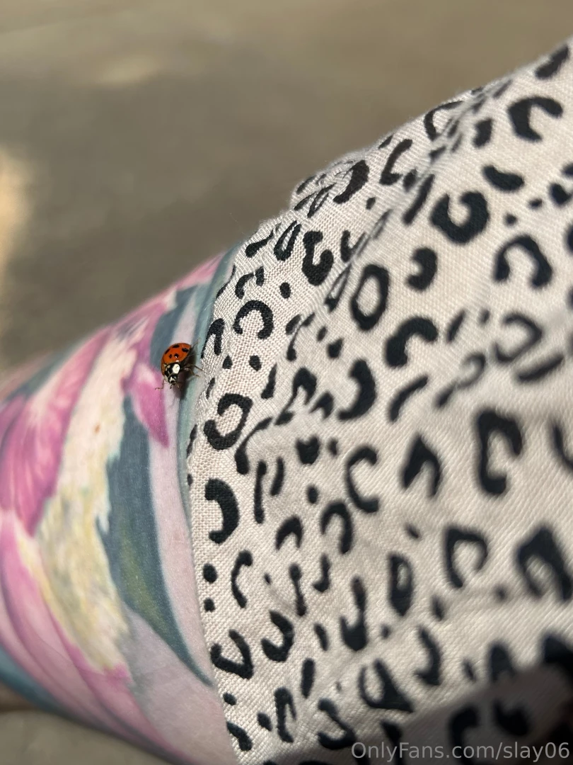 I made a friend part 2 