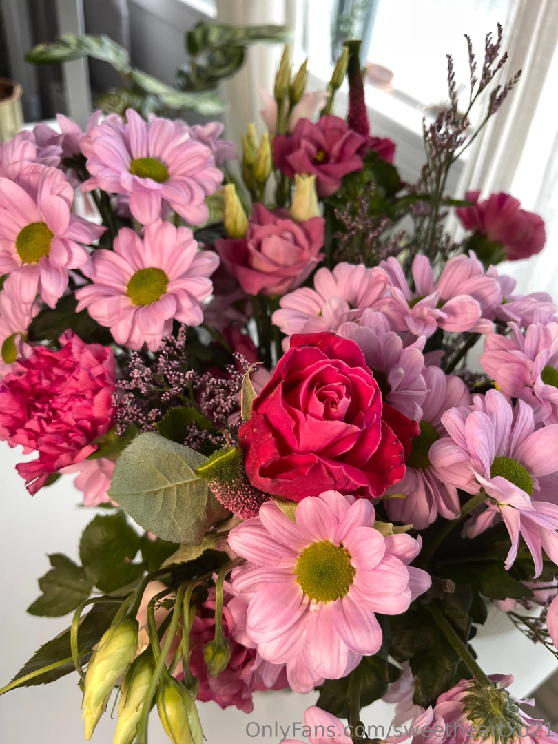 I got myself some flowers today and wanted to share them with you 