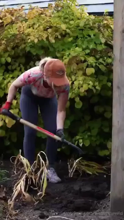 I planted lots of spring bulbs this past month i hope after all the 