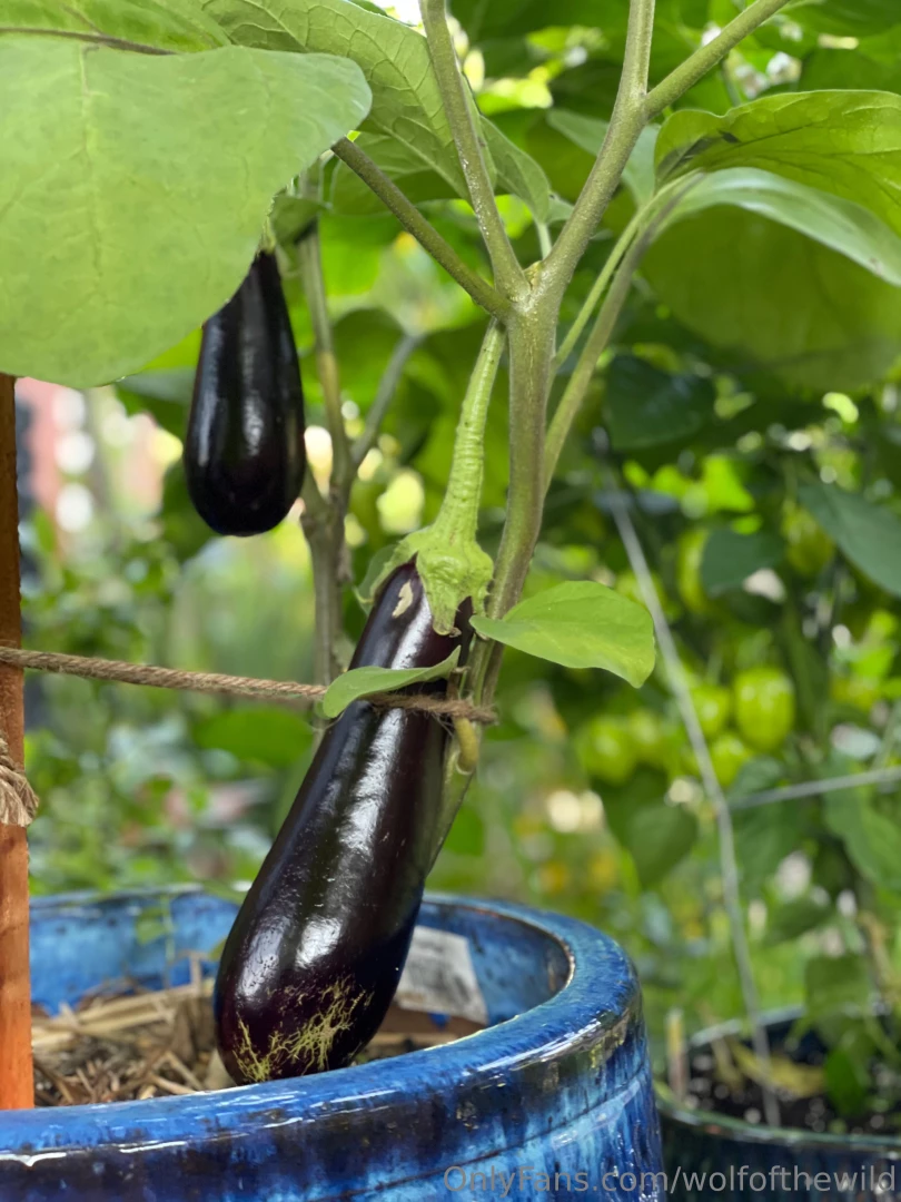 Looks like i got a little dirt on this booty while working in the part 2 