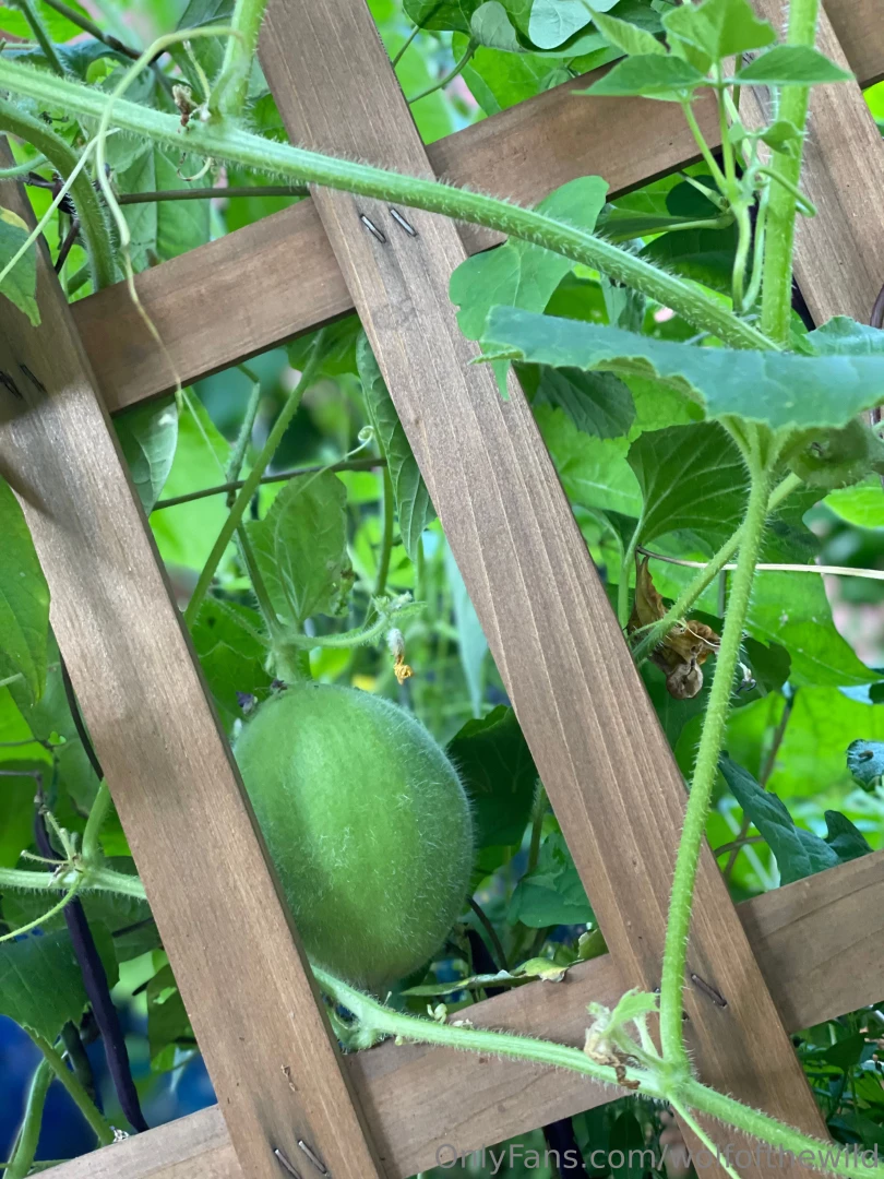 Looks like i got a little dirt on this booty while working in the part 4 