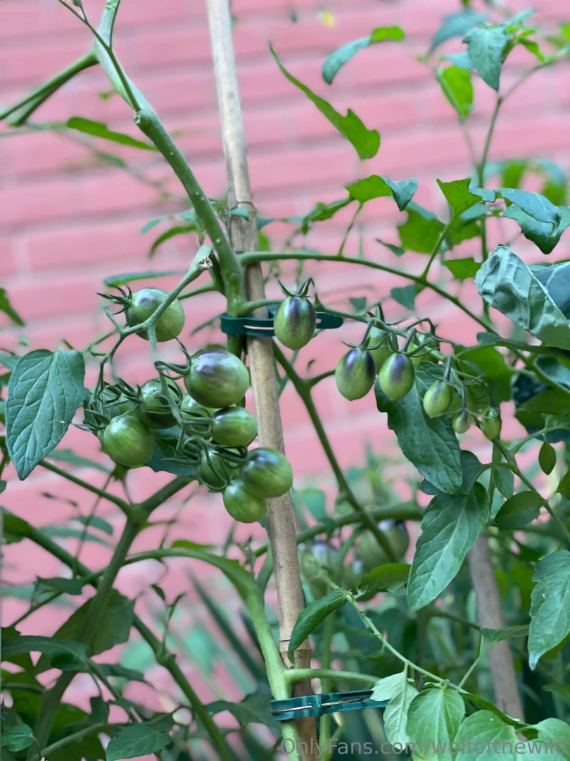 Looks like i got a little dirt on this booty while working in the 
