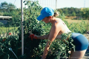 Who knew harvesting could be this much fun there s something so