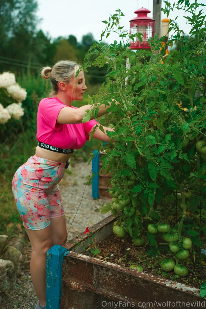 There s nothing better in the world than big juicy ripe homegrown part 4 