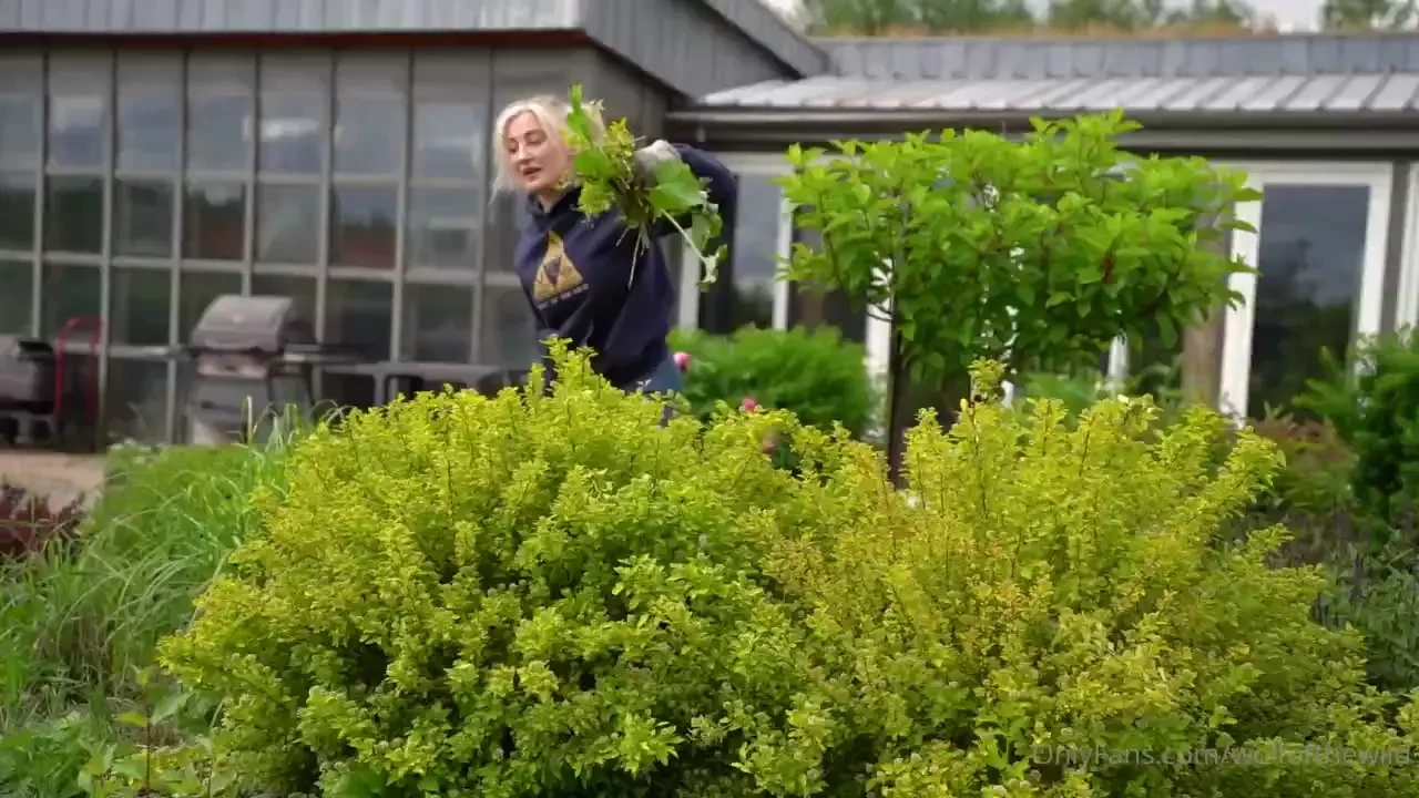 It s a chill day in the garden enjoy this member only garden lofi 