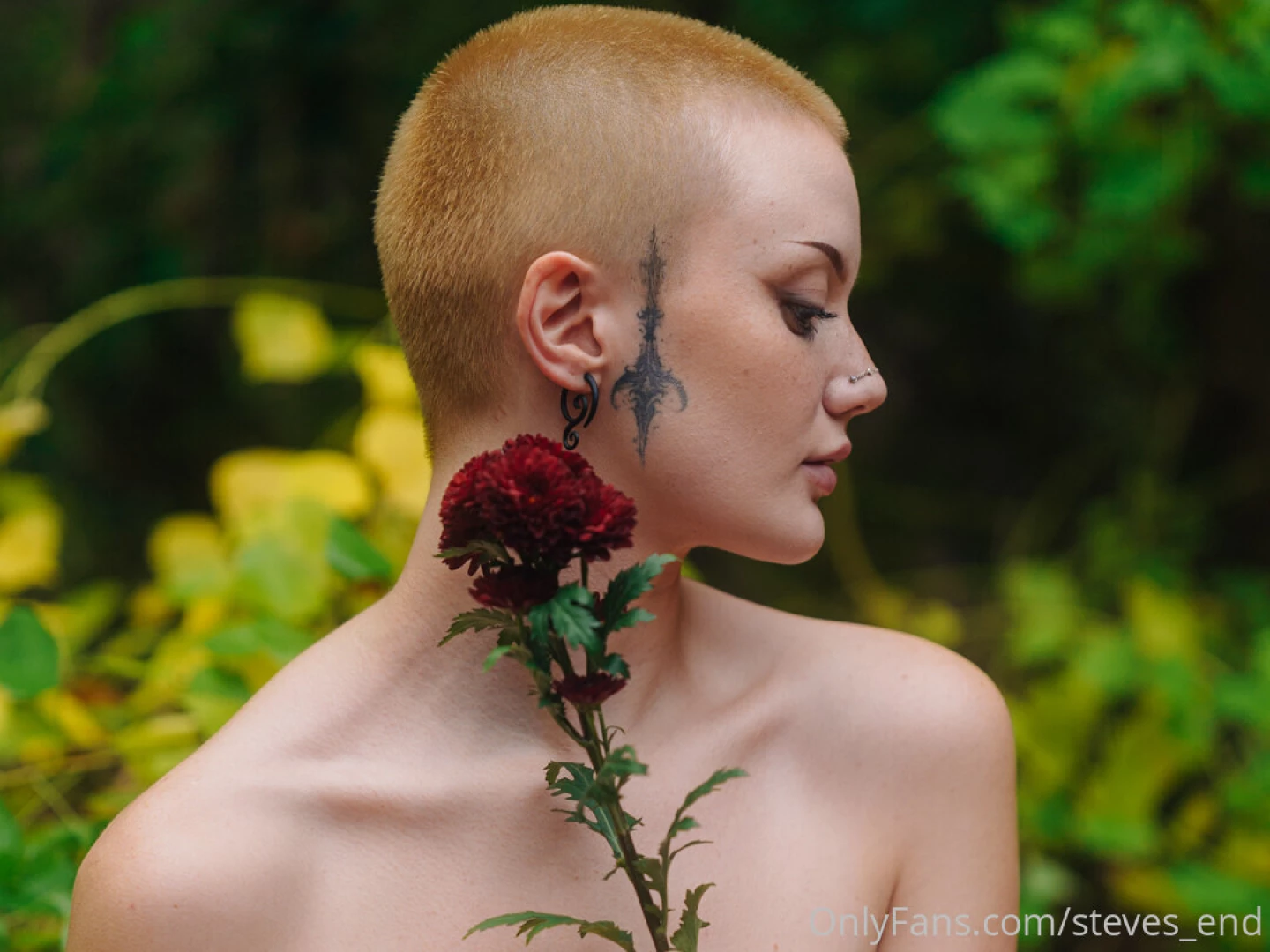 Plenty more where these came from absolutely enamored with how these part 5 