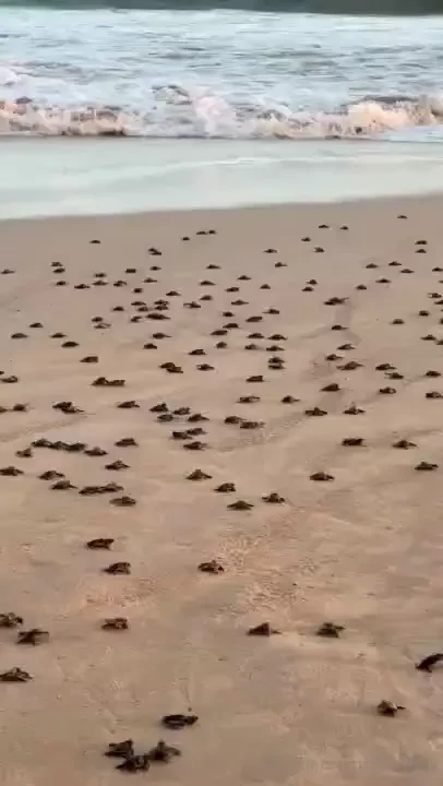 Just want to leave these videos here a reminder of the emotions i felt 