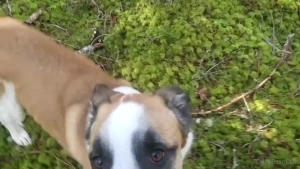 Spring has me sprung part 3