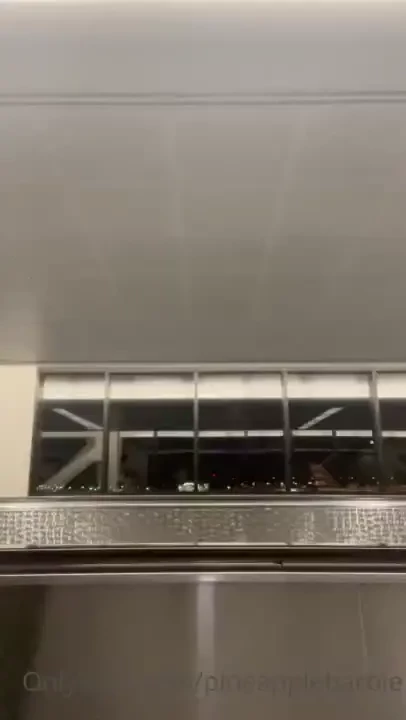 What would you do if you saw us in the airport 