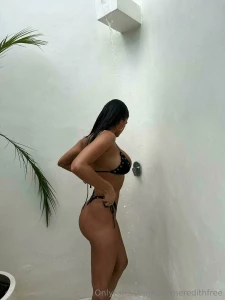 Lanemeredithfree1 part 29