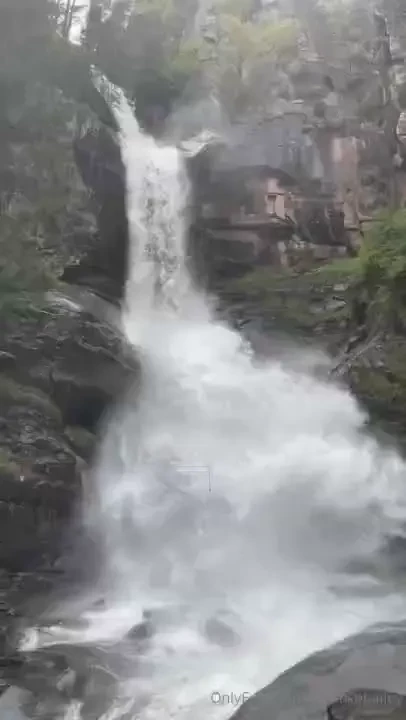 Life lately thought i would share a little scroll through my camera 