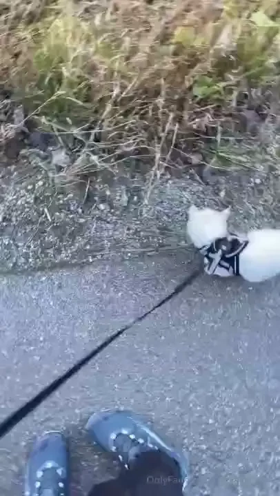 Hiya cutie how s it hanging wanted to share some little updates from part 1 